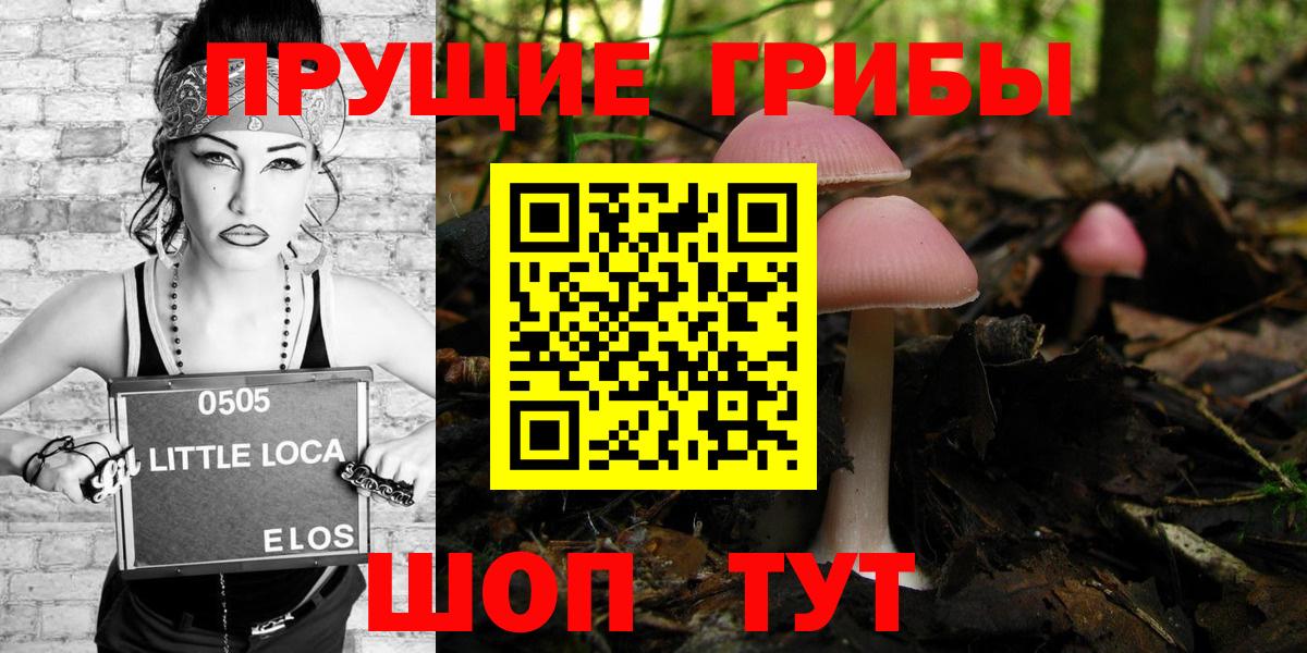 Псилоцибиновые грибы Psilocybe Обь